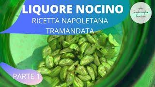 Nocino Ricetta Napoletana Tramandata