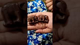 Thailand Coconut Chocolate  #shorts #trending #viralvideo #chocolate