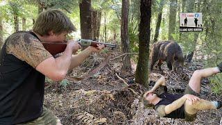 HECTIC HOG HUNT! Haza gets KNOCKED OUT!