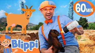 Blippi Feeds Baby Goats!  | Fun Farm Adventure for Kids | Educational Videos for Kids