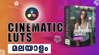 How to download Cinematic luts For free Download Malayalam