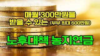 매달 300만원을 받는 농지연금 수령액 계산하기 및 가입조건