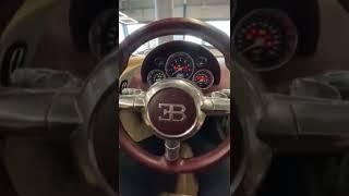 $2.5 Million Dollar Bugatti Veyron 16.4 - Grand Sport Vitesse Cold Start