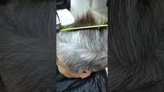 Hair Dye Shampoo Gray to Black 3 in 1 Herbal Dyeing - Easy Hair Dye