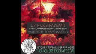 The Higherside Chats: DMT Beings, Prophetic State Contact, & Theoneurology