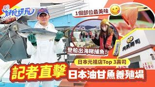 記者直擊日本大分油甘魚養殖場深入生產基地揭開新鮮刺身背後秘密｜探訪日本迴轉壽司元祖店｜親手製作炸蝦卷｜見證生朱古力製作過程