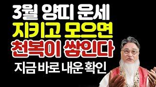 3월 양띠 운세: 묵묵히 지킨 자, 천복을 거머쥔다! 작은 복부터 차곡차곡 챙겨라!”