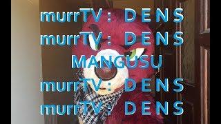 MurrTV Dens Mangusu