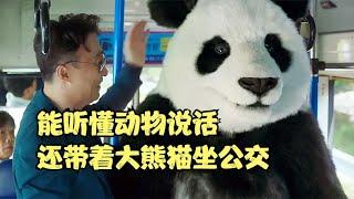 大叔能聽懂動物說話，原來大熊貓也知道自己很尊貴，韓國爆笑喜劇