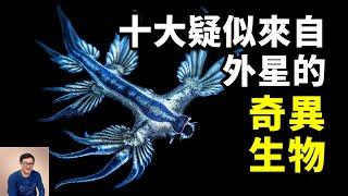 10種酷似外星生物的海洋動物，第二名因拉麵意外走紅，第一名你在海灘上可能會遇到！【老肉雜談】#動物 #海洋生物 #海洋 #外星生物 #科幻