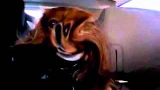 Video-Warping a Dog
