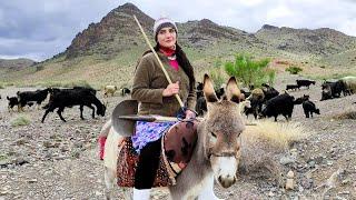 Village Life In Iran: Amazing Cooking & Donkey Riding By A Girl