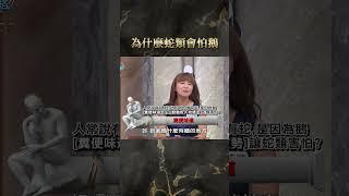 為什麼蛇類會怕鵝【#全民星攻略】#曾國城 #蔡尚樺 #shorts