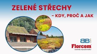 ZELENÉ STŘECHY -  KDE, PROČ, JAK, VÝHODY, OBAVY