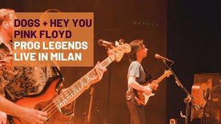 Dogs, Goodbye Cruel World, Hey You (Pink Floyd) - Prog Legends - Live in Milan