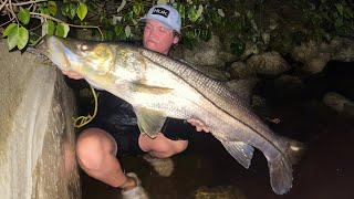 Spillway Fishing GIANT Snook (New PB)