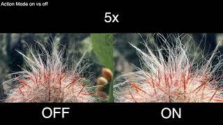 iPhone 15 Pro Max "Action Mode Stabilizer" Demo