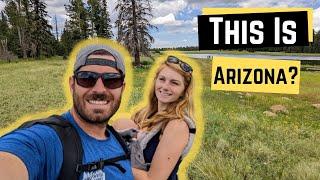 Why Greer Arizona Is A Must See (RVing Fulltime)