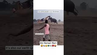 save animals save forest #shorts #youtubeshorts #shortvideo #youtube #animals #saveanimals #nature