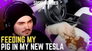 RADAL REACTS TO FEEDING MY PIG SLOP IN MY NEW TESLA (LuxuryLight)