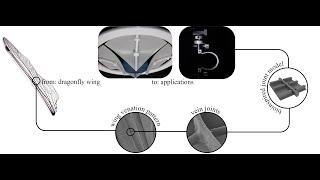 Bioinspired compliant joints for passive-automatic adaptability