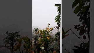 Nepal weather minivlog #shortvideo #shorts