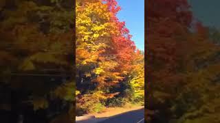 Beautiful Fall Colours in Canada