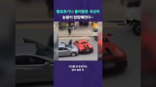 제가 람보르기니를 쳤어요... #뉴픽
