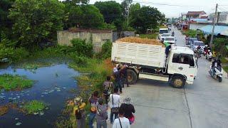 Perfectly Job!!Dump Truck 5Ton Fill Land with Bulldozer D31P Komatsu Push soil into field, Mix VDO