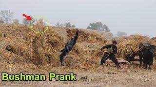 BEST OF 2022 BUSHMAN PRANK In Pakistan !! Top Reaction Bushman New Funniest Video Part 6 