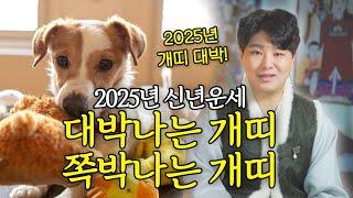 2025년 개띠신년운세 대박나는개띠 vs 쪽박나는개띠 "재물 쓸어담는 개띠 몇년생!? "/의정부용한점집 [더샤머니즘]