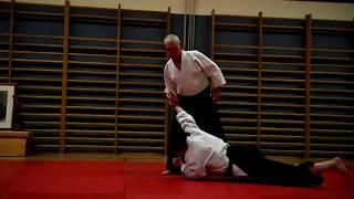 Chris Mooney AikidoSeminar Linz 2019