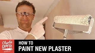 How to Paint New Plaster - a Complete Guide
