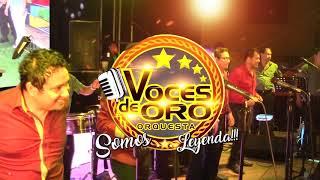 LAS VOCES DE ORO/MIX HERIDO CORAZON - LAGRIMA LAGRIMITAY XIOMARA PRODUCCIONES HD