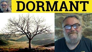  Dormant Meaning - Dormant Examples - Dormancy Definition - GRE Vocabulary - Dormant Dormancy