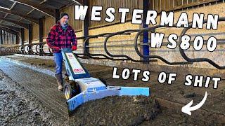 Say Goodbye to Manual Scraping Forever! Using the Westermann WS800