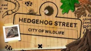 Hedgehog Street Challenge by PTES & BHPS