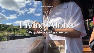 Living Alone in the Philippines: Life Update, adopting a new cat ‍⬛