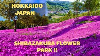 THE BEST PLACES TO SEE IN CENTRAL HOKKAIDO, JAPAN (FURANO, FARM TOMITA, UNKAI, SHIBAZAKURA, BIEI) 4K