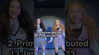 k-pop group that debuted in 2023. #hana #the7 #xin #primrose #kpop #debut