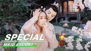 Special: Wang Runze & Jade Cheng's Love Story | Maid Escort | 这丫环我用不起 | iQiyi