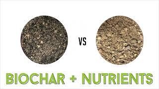 What is Biochar and why it benefits your plants?