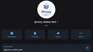 How to set up the Telegram bot from iProxy.online?