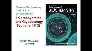 Chapter 7 (Sections 1 & 2) - Carbohydrates and Glycobiology