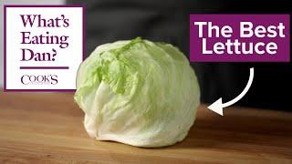 Admit it, Iceberg is the Best Lettuce | What's Eating Dan?