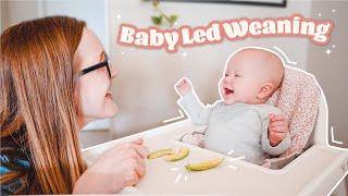 STARTING BABY LED WEANING | Day in the Life with a 5 Month Old