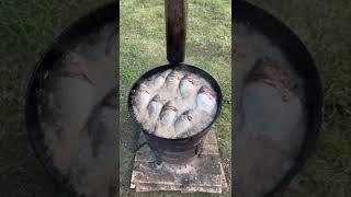 PandaSakha - #summer #pandasakha #PandaSakha #short