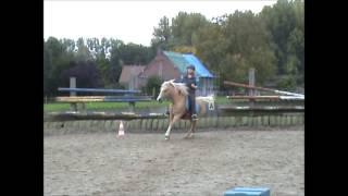 2013 10 20 Kelly & Wilson Clover Leaf