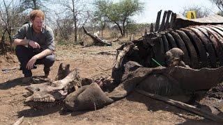 Prince Harry rips poachers on South Africa trip