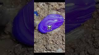 Best Crystal Finds
